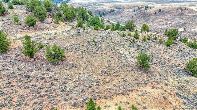 18829 County Road 397 Granite, CO 81251