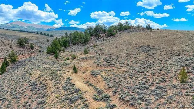 18829 County Road 397 Granite, CO 81251