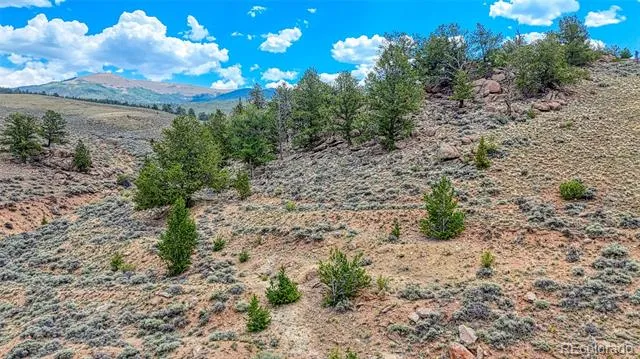 18829 County Road 397 Granite, CO 81251