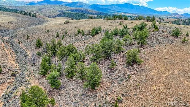 18829 County Road 397 Granite, CO 81251