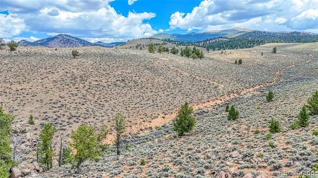 18829 County Road 397 Granite, CO 81251