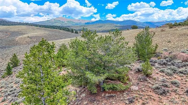 18829 County Road 397 Granite, CO 81251