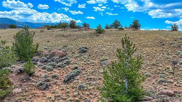 18829 County Road 397 Granite, CO 81251