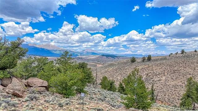 18829 County Road 397 Granite, CO 81251
