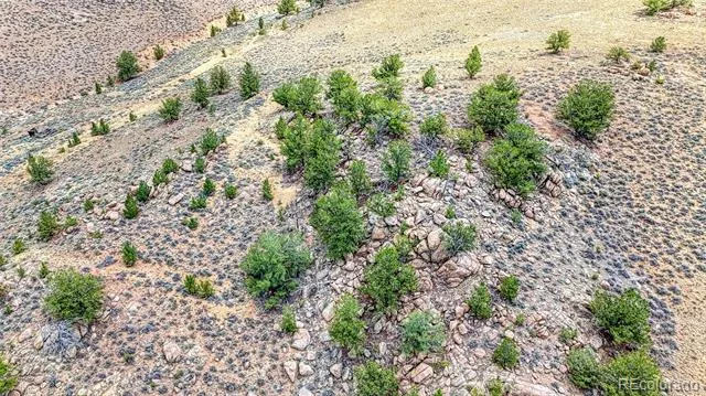 18829 County Road 397 Granite, CO 81251
