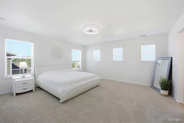 3365 Snowy Owl Lane Brighton, CO 80601