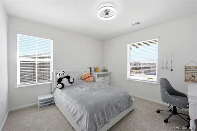 3365 Snowy Owl Lane Brighton, CO 80601