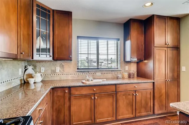 9139 Viaggio Way Highlands Ranch, CO 80126