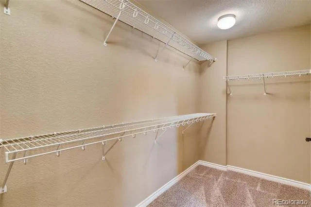 9139 Viaggio Way Highlands Ranch, CO 80126