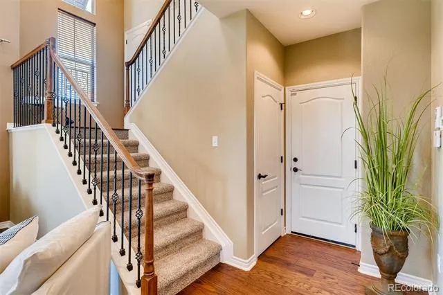 9139 Viaggio Way Highlands Ranch, CO 80126