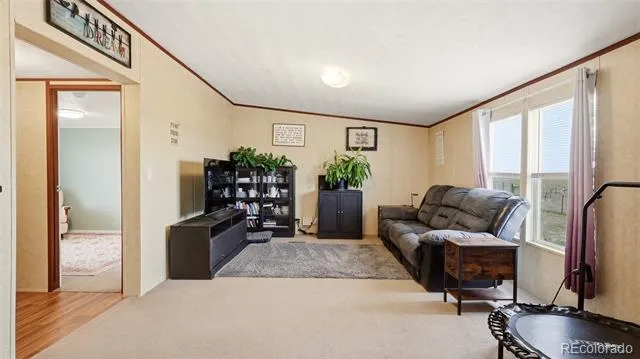 7498 Highway 52 Wiggins, CO 80654
