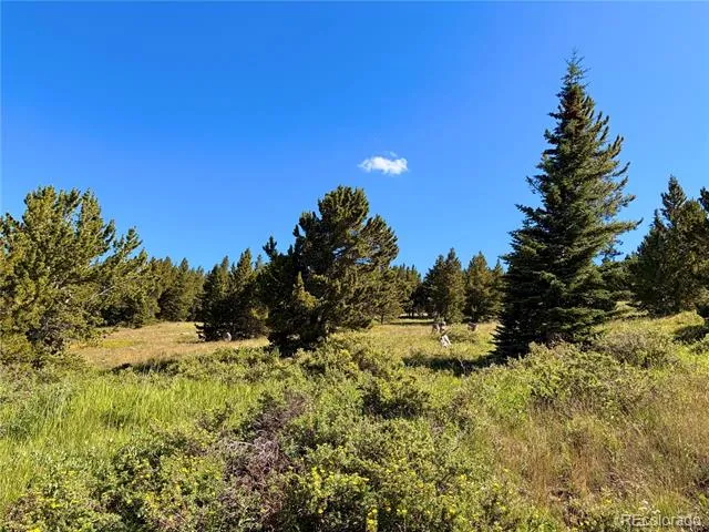 1 APEX Black Hawk, CO 80422