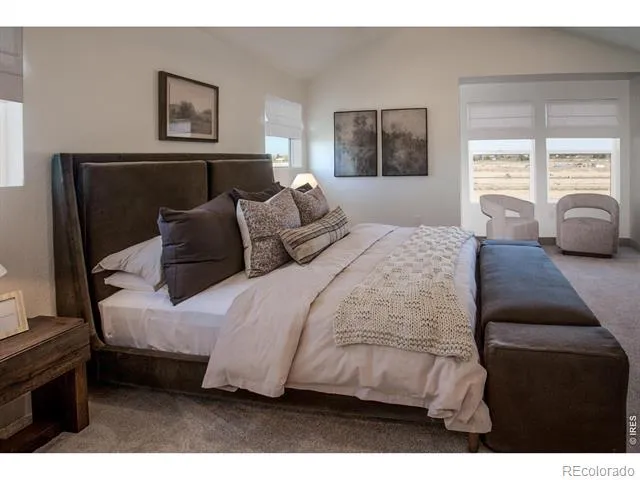 5349 Blainville Street Timnath, CO 80547