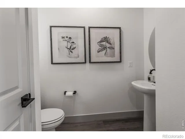 5349 Blainville Street Timnath, CO 80547