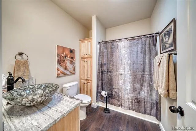 27665 County Road 313 #11 Buena Vista, CO 81211