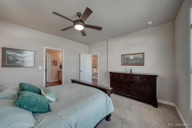 27665 County Road 313 #11 Buena Vista, CO 81211