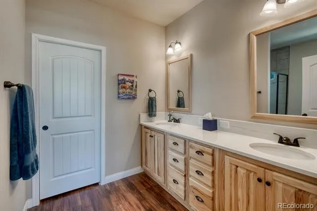 27665 County Road 313 #11 Buena Vista, CO 81211
