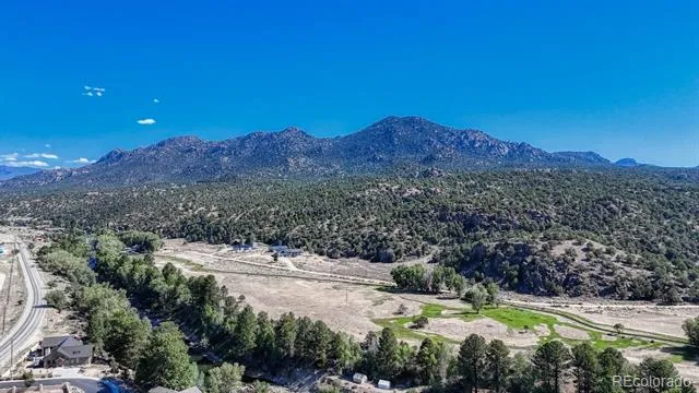 27665 County Road 313 #11 Buena Vista, CO 81211