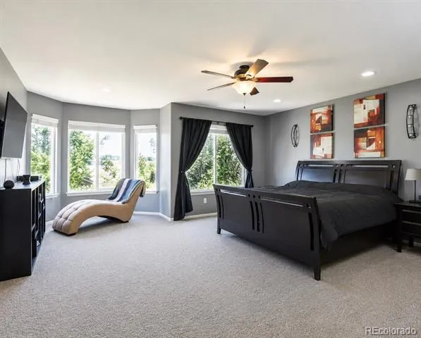 10276 Jill Avenue Highlands Ranch, CO 80130