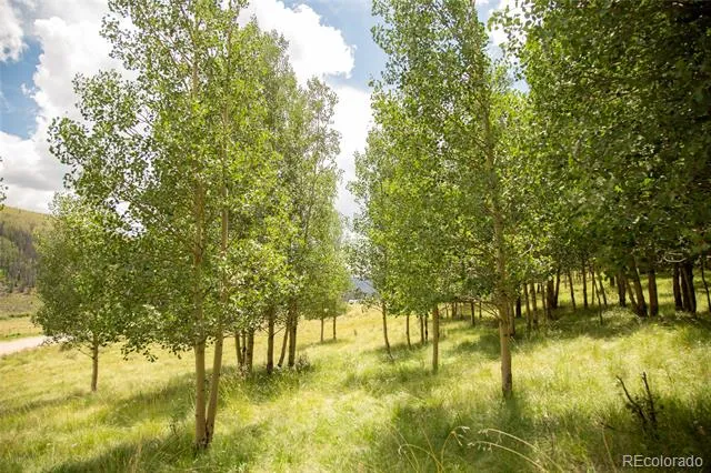 1001 County Rd 17 Lake City, CO 81235