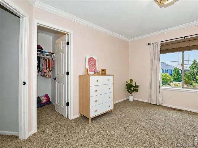 6580 Snow Bank Drive Timnath, CO 80547