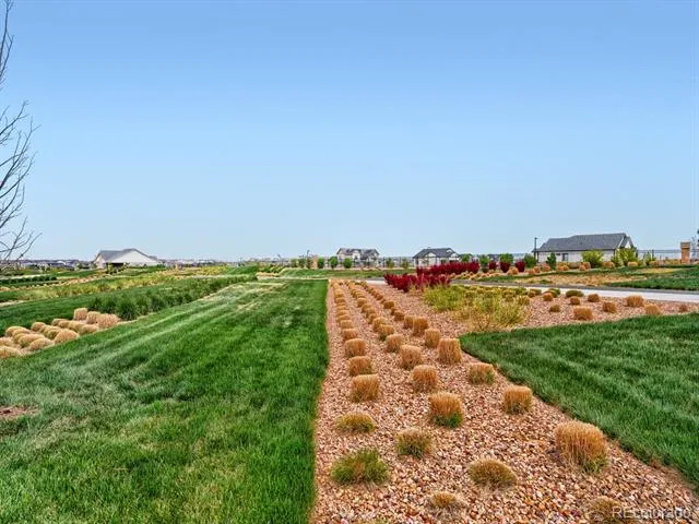 23966 E River Front Drive Aurora, CO 80019