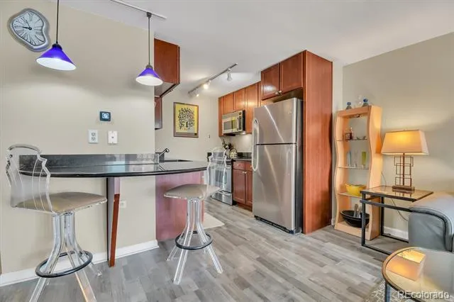 1150 Vine Street #603 Denver, CO 80206