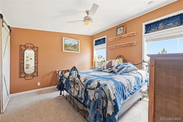 291 Bandolier Court Hartsel, CO 80449