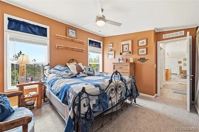 291 Bandolier Court Hartsel, CO 80449