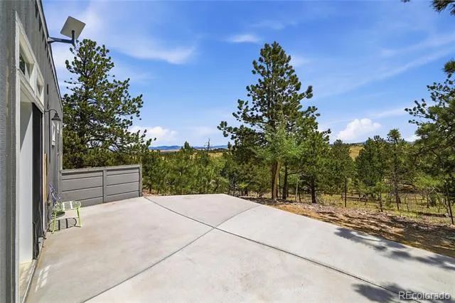 291 Bandolier Court Hartsel, CO 80449