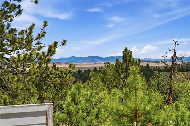 291 Bandolier Court Hartsel, CO 80449