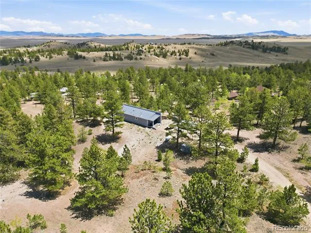 291 Bandolier Court Hartsel, CO 80449