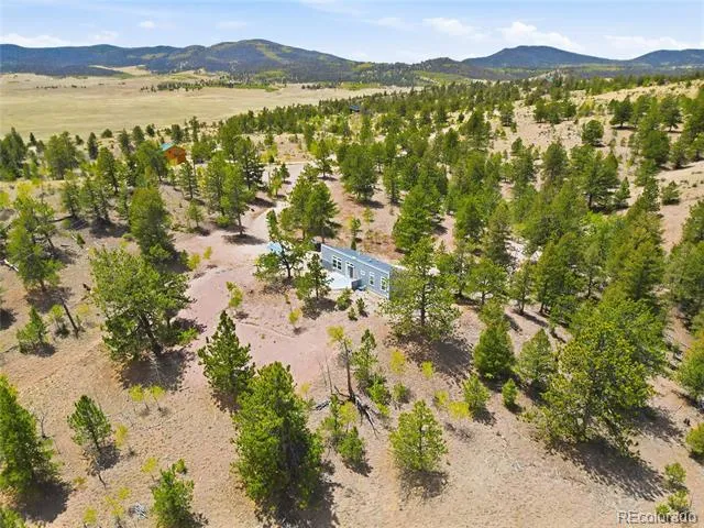 291 Bandolier Court Hartsel, CO 80449