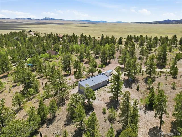 291 Bandolier Court Hartsel, CO 80449