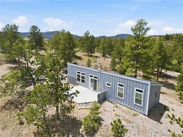 291 Bandolier Court Hartsel, CO 80449