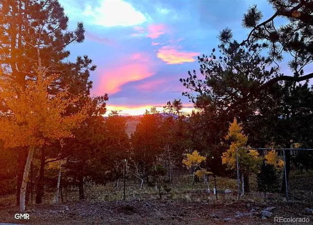 291 Bandolier Court Hartsel, CO 80449