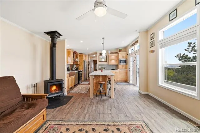 291 Bandolier Court Hartsel, CO 80449