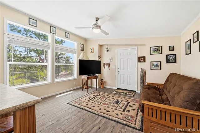 291 Bandolier Court Hartsel, CO 80449