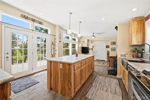 291 Bandolier Court Hartsel, CO 80449