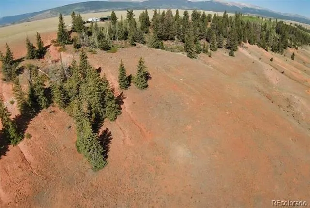 4335 Meier Ridge Trail Fairplay, CO 80440