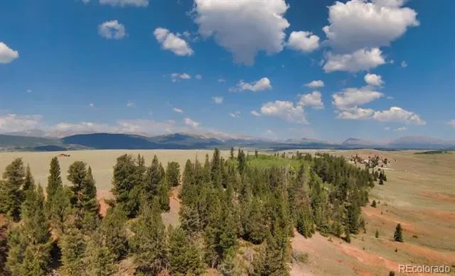 4335 Meier Ridge Trail Fairplay, CO 80440