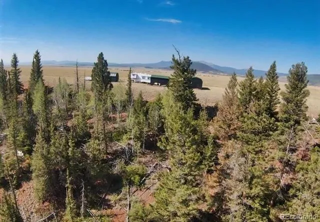 4335 Meier Ridge Trail Fairplay, CO 80440