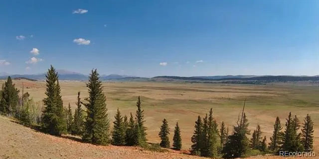 4335 Meier Ridge Trail Fairplay, CO 80440