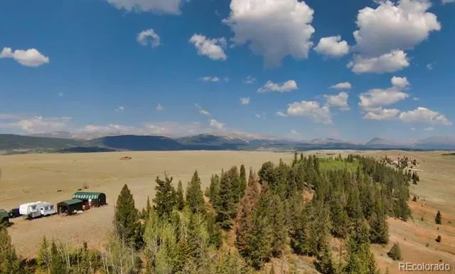 4335 Meier Ridge Trail Fairplay, CO 80440