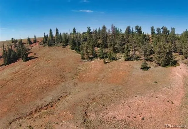 4335 Meier Ridge Trail Fairplay, CO 80440