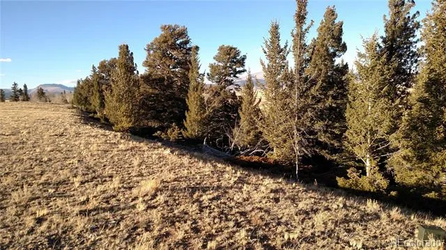 4335 Meier Ridge Trail Fairplay, CO 80440