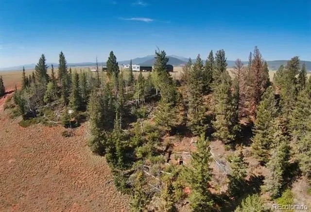 4335 Meier Ridge Trail Fairplay, CO 80440