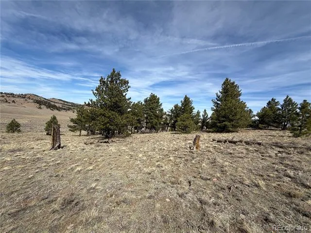 990 Coyotero Trail Hartsel, CO 80449
