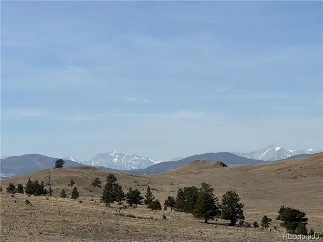 990 Coyotero Trail Hartsel, CO 80449