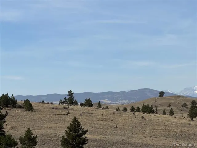 990 Coyotero Trail Hartsel, CO 80449